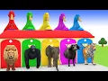 Download Lagu Long Slide Game With Cow Elephant Gorilla Hippopotamus Tiger 3d Animal Game Funny 3d Animals