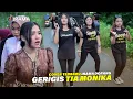Download Lagu Bersama Nia Dirgha Jalan Makin Asyik Ada TIA MONIKA Dan GERIGIS Versi Musik Jalanan Irama Dopang