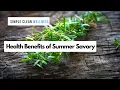 Summer Savory Health Benefits