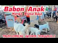 Download Lagu UPDATE HARGA KAMBING DI PASAR  DURENAN TRENGGALEK TERBARU RABU LEGI  1 OKTOBER  2025.
