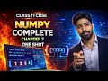 NumPy Full Chapter 7 Class 11 IP CS Oneshot Complete