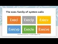 What is a System call execl execv