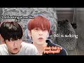 Download Lagu CHOI ODI NOT LETTING TXT BREATHE