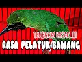 Download Lagu CUCAK IJO BONGKAR ISIAN PELATUK BAWANG