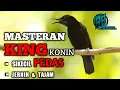 Download Lagu king konin | kolibri raja