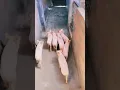 shuruaat ho Chuka hai lala