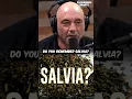 Lagu Joe Rogan Remembers Salvia 🚀👍