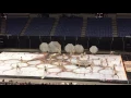 Biolatria - Clackamas Cavalettes State 2016
