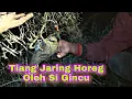 Download Lagu 5 Jam Jaring Digoyang Burung Ruak \u0026 Mandar Batu