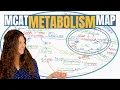 MCAT Biochemistry The 13 Metabolic Pathways Explained