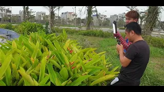 Vlog Công Sở: Cảnh quay chúng mình có gì ???