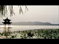 Bonobo - Terrapin