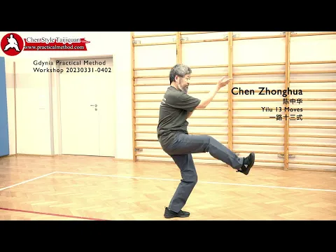 Download MP3 Chen Zhonghua Practical Method Yilu 13-Gdynia Workshop 20230401