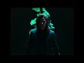 Baptiste Sartoria - Suivre le mustang
