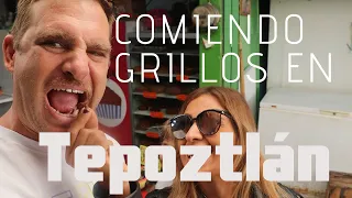 Suizo come grillos en Tepoztlan, Morelos.  (#32)