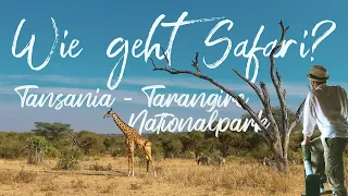 Die besten Safari Tipps - Urlaub im Tarangire Nationalpark Tansania in Afrika - deutsch