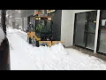 Zoom Didn t Eradicate Snow Days In Jamestown