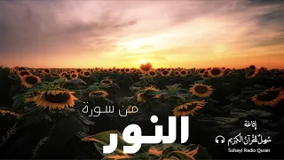 تـلاوة مؤثرة من سورة النور يتلوها القارئ شريف مصطفى 