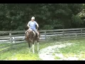 Download Lagu The Horse with NO GO!