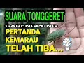 Download Lagu Suara Tonggeret | Suara Garengpung | Pertanda Musim Kemarau Telah Tiba | Suara Hewan Asli