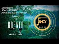 Free Audio No Copyright Youtube - Journey To Borneo