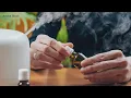 Can certain oil diffusers be unsafe for your dog to smell We verified it