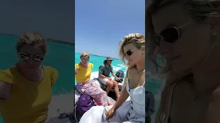 Security System Engaged 🐕⛵🌴🥥🥭 #shorts