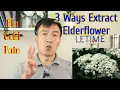 Download Lagu Elderflower Benefits and Uses. Elderflower Tea Tincture and Hydrosol. Differences and How to Extract