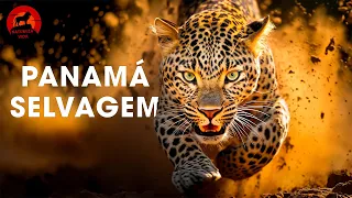 PANAMÁ SELVAGEM | O Paraíso Tropical e as Criaturas que Reinam Sobre Ele | Documentários animais