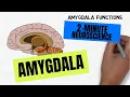 Download Lagu 2-Minute Neuroscience: Amygdala