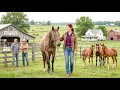 The Sale Barn Sold Her a Blind Mare for 40 Her Foals Paid for the Entire Ranch