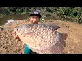 Download Lagu UMPAN JITU IKAN GURAME LIAR, SUPER JUMBO TEKNIK DASARAN