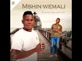 Download Lagu Mshinwemali Ft Neli - Bekezela