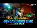 Download Lagu DENDANG INDANG KAKI LIMO (LIVE) PUTRI CHANTIKA