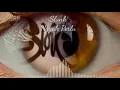 Download Lagu Slank - nggak perlu lirik