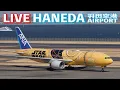 Download Lagu 🔶LIVE📡 '25/7/1 羽田空港 T2 Tokyo International Airport HANEDA T2  plane spotting