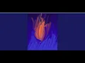 HTML RESPONSIVE OCEAN WAVE EFFECT SPEED CODING IN NATURE