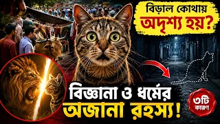 কোরবানির ঈদের দিন বিড়াল কোথাই অদৃশ্য হয়ে যায়? || Md Tamim