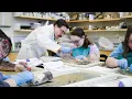 Shark Brain Dissection with Professor Philip Bergmann