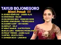 Download Lagu TAYUB BOJONEGORO KONCO KERJO MESTI PENAK