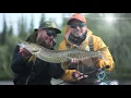 FLY TV - Arctic Circle PIKE FLY Madness