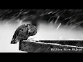 Download Lagu Cold |  William Wira Wijaya  |  Sad Piano \u0026 Violin  |  Instrumental Music