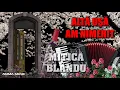 Download Lagu MUZICA DE PETRECERE - MITICA BLANDU - ALTA USA AM NIMERIT