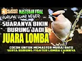Download Lagu SUARA MASTERAN BURUNG LUAR NEGERI PART-3 || BIKIN BURUNG LOMBA JADI JUARA || murai batu