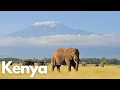 Download Lagu Exploring the Wonders of Kenya