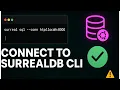 Connect to SurrealDB via CLI SurrealQL Basics for Beginners