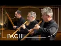 Download Lagu Bach - Sinfonia from Cantata BWV 42 | Netherlands Bach Society