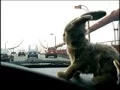 Buns Pacer crossing Golden Gate Bridge