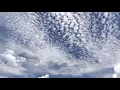 Y Que Tal Si Te Escapas Del Cielo,Que Canten Los Niños,Me Olvide De Vivir, Aleluya-Para Reflexionar