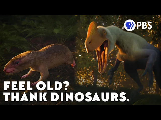 Video: How Dinosaurs May Have Cursed Us With Aging